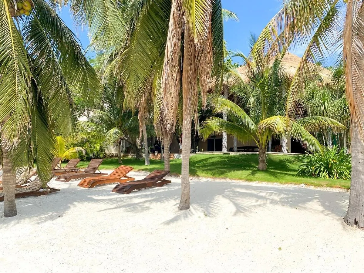 Villa Angela Isla Mujeres 0*,