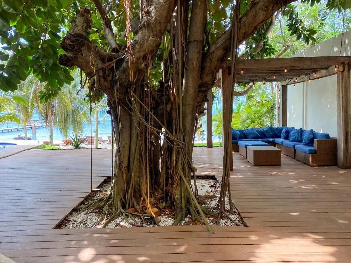 Villa Angela Isla Mujeres Mexico